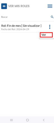 Menú de tres puntos con la opción Ver junto al rol de pago