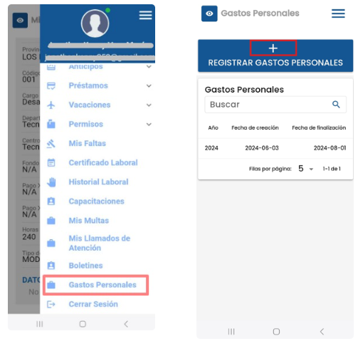 Opción Registrar Gastos Personales en el menú