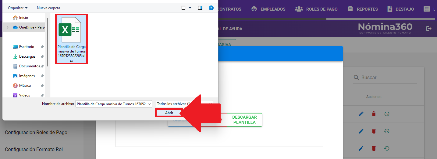 Selector de archivo para la carga masiva de turnos