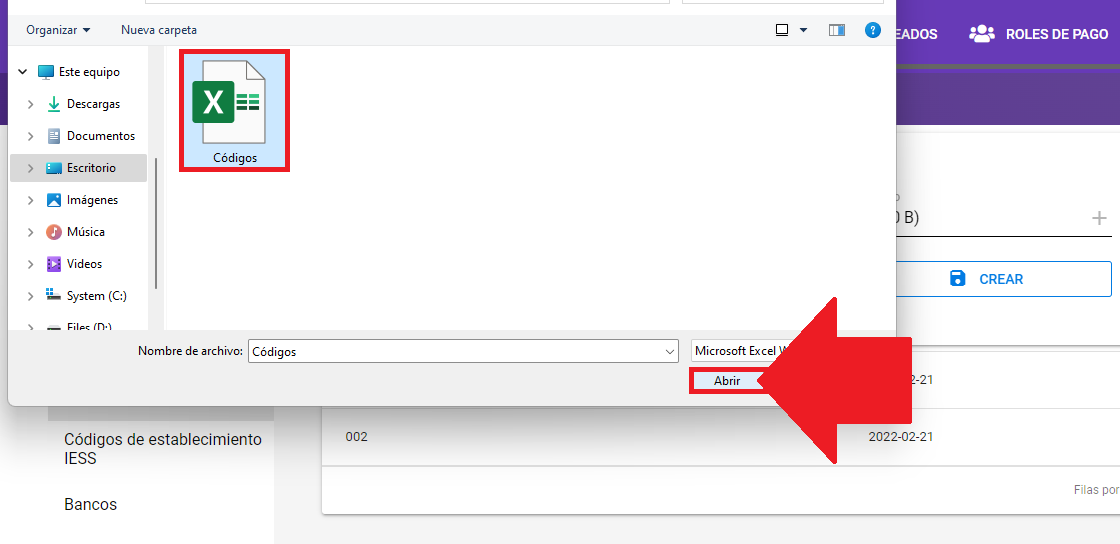 Selector de archivo para la carga masiva de códigos