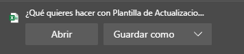 Plantilla Excel descargada para edición