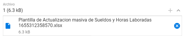 Selector de archivo de códigos IESS