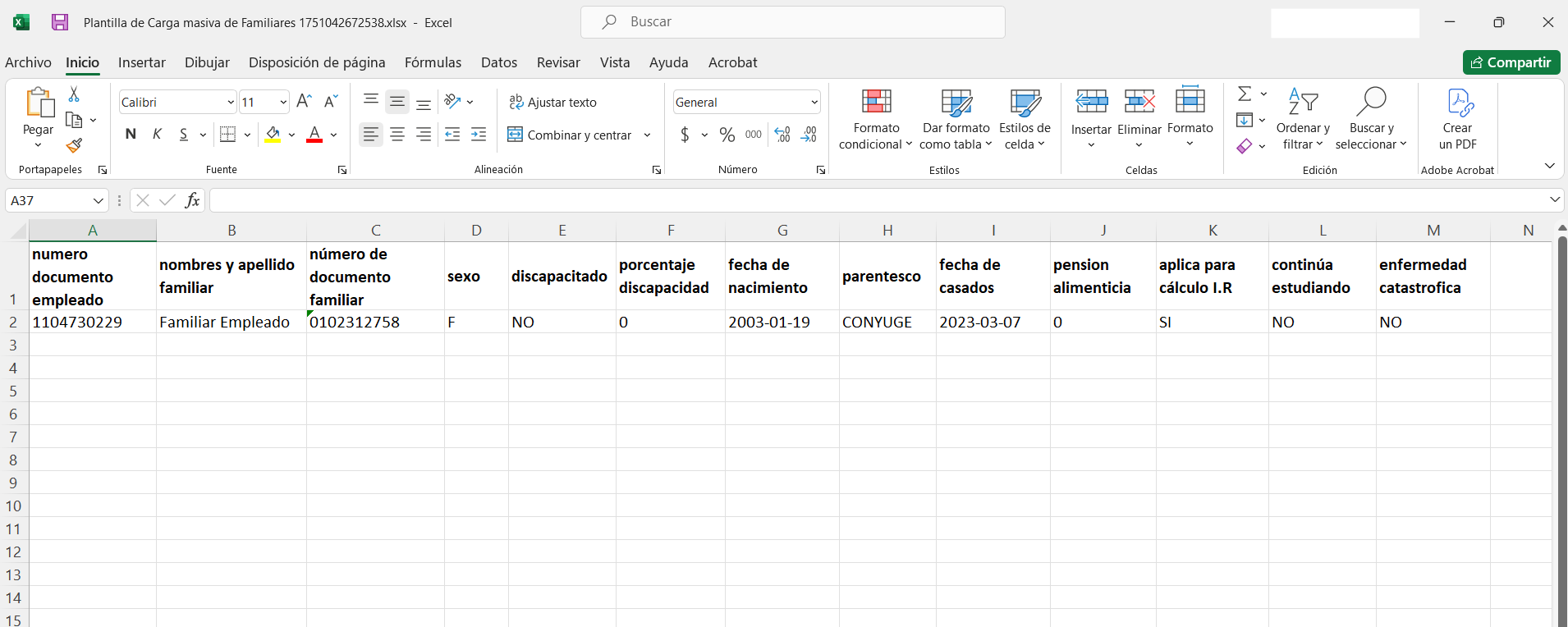 Plantilla Excel de Carga Masiva Familiares