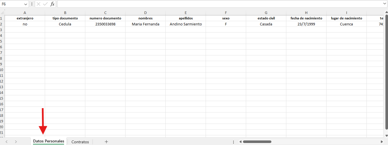 Sección Datos Personales de la plantilla Excel