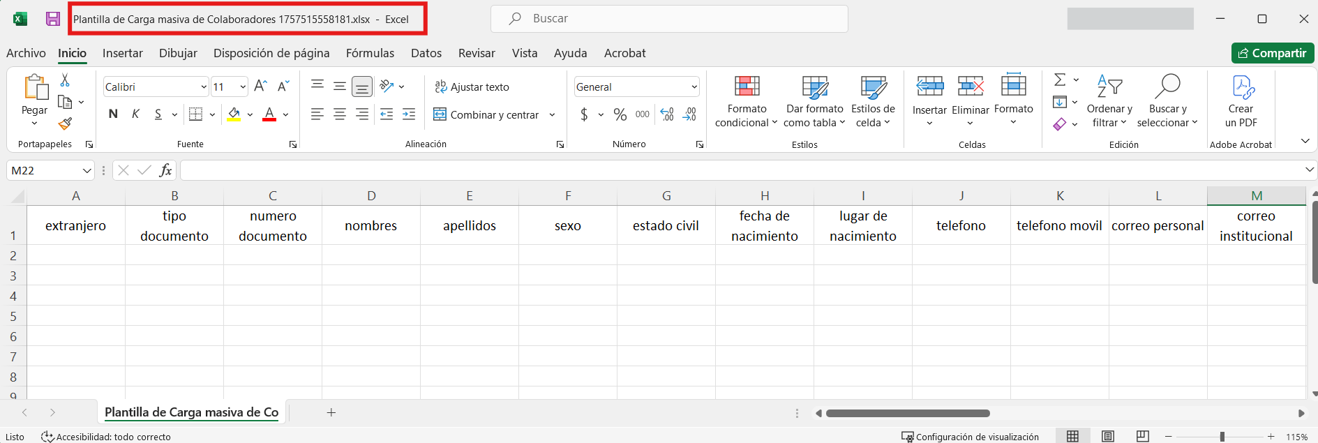 Estructura de la plantilla Excel para carga masiva
