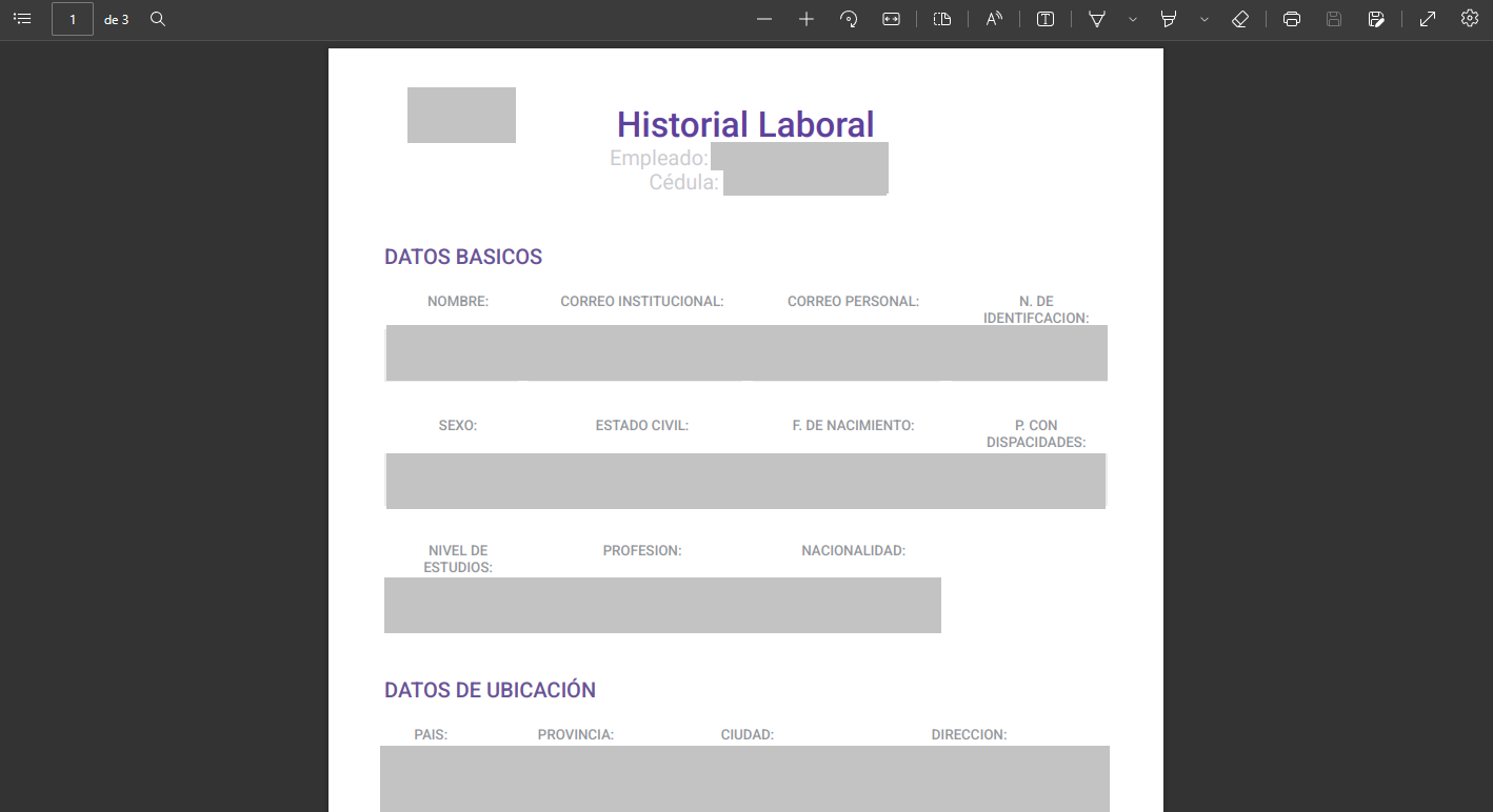 Vista previa del PDF de historial laboral generado