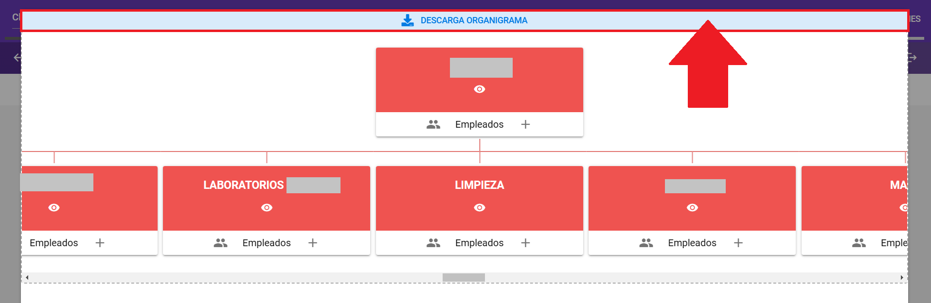 Vista del organigrama con el botón Descargar Organigrama
