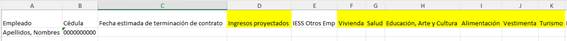 Plantilla de Excel con las columnas resaltadas en amarillo a completar