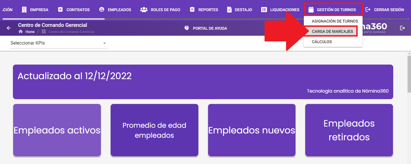 Menú Gestión de Turnos con la opción Carga de Marcajes