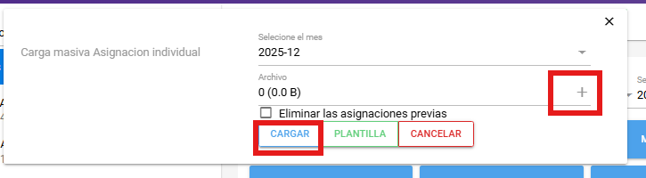 Confirmación de la carga masiva de asignación individual