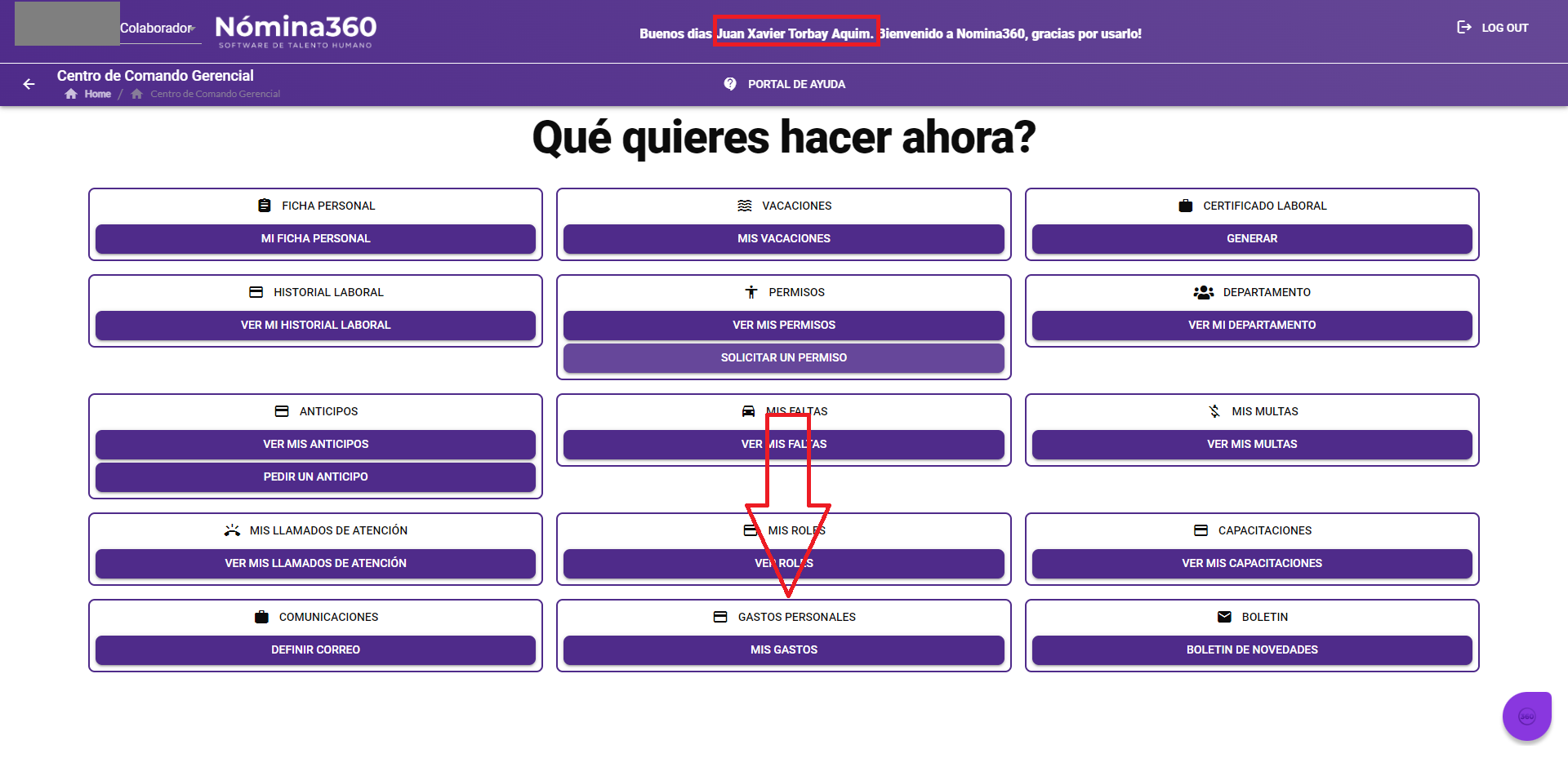 Botón Mis Gastos en el portal de autoservicio