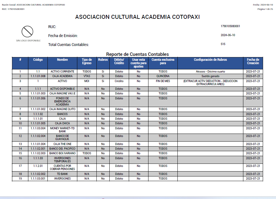 Reporte de cuentas contables descargado