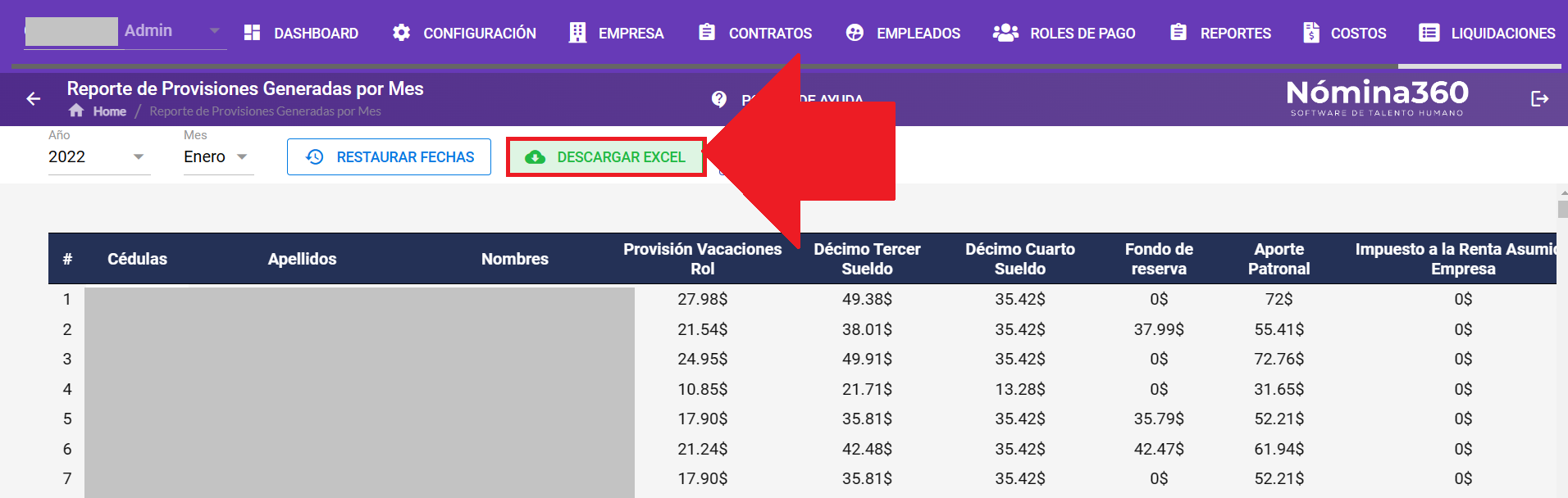 Botón Descargar Excel del reporte de provisiones por mes